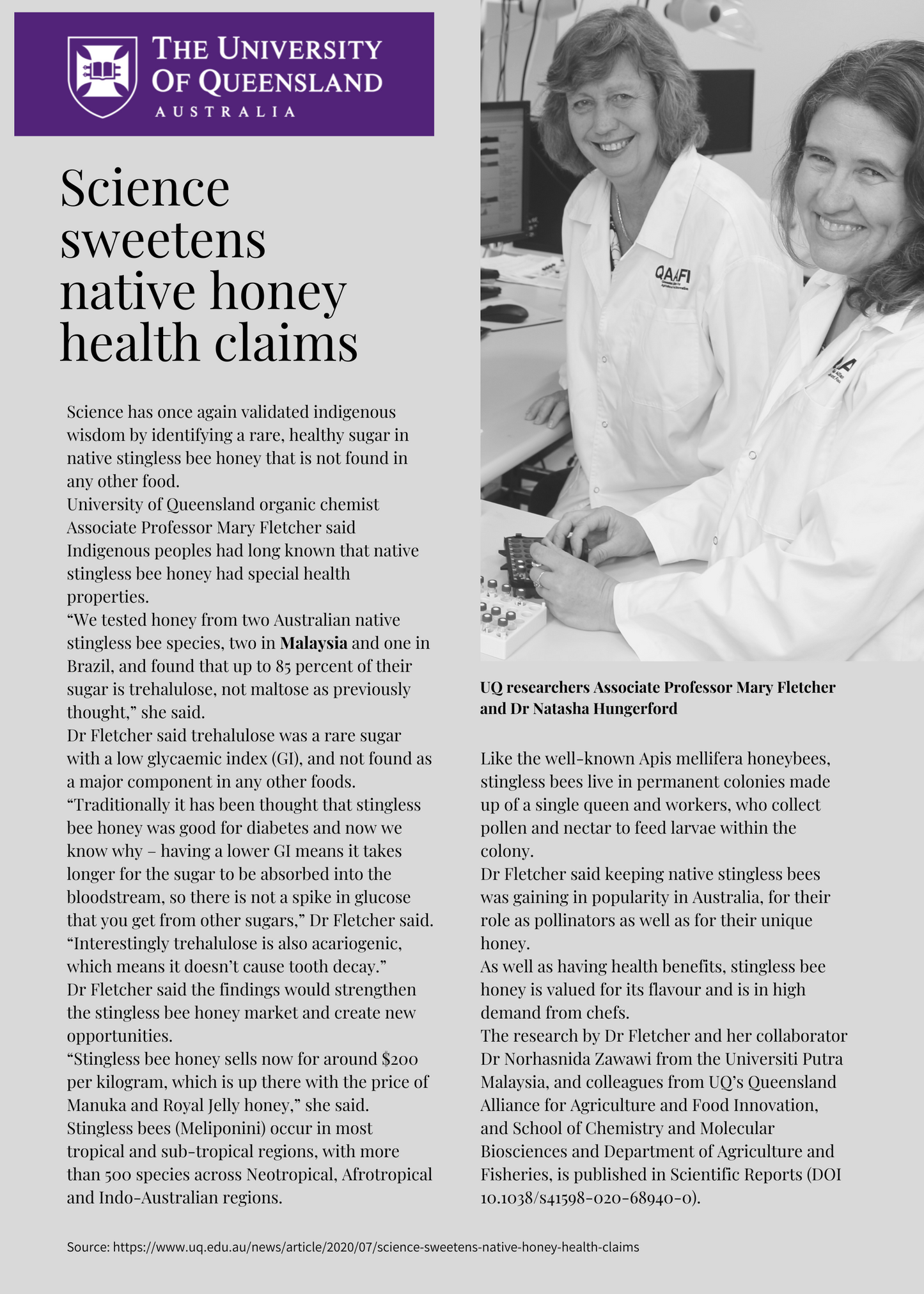 Natharvest Stingless Bee Honey – Pure and Natural Superfood, 8.8 oz (250 gm)