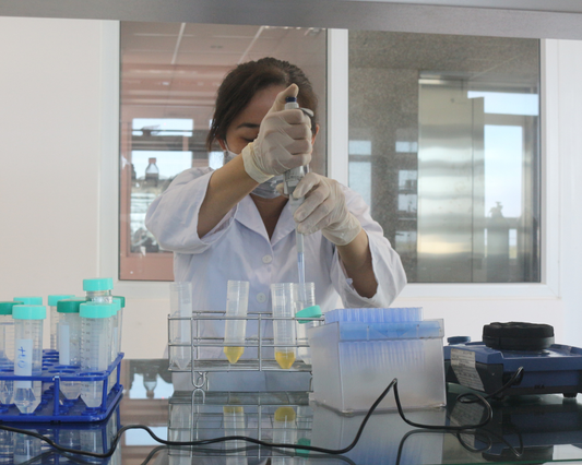 Science Behind Stingless Bee Honey