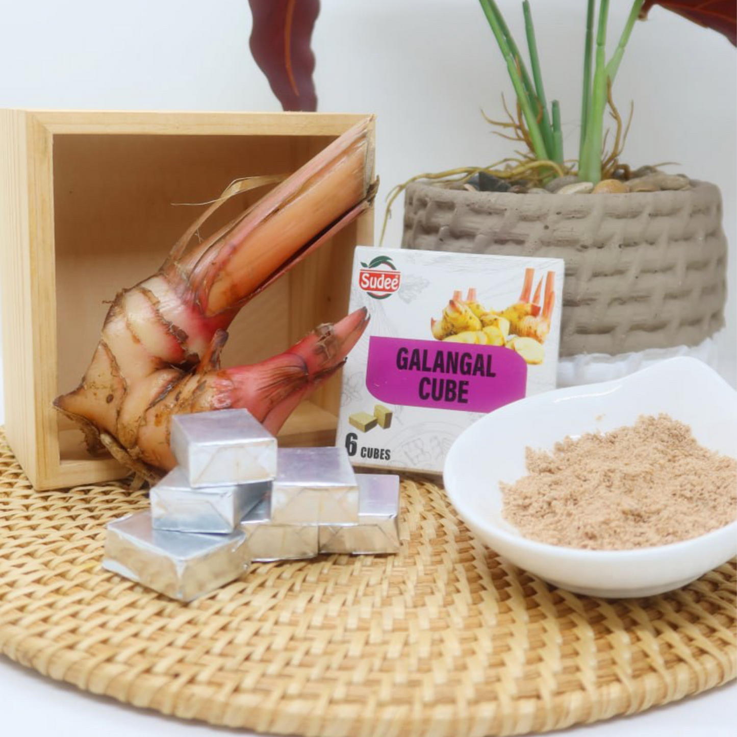 Sudee Galangal Cooking Cubes, 1.9 oz (54 gm)
