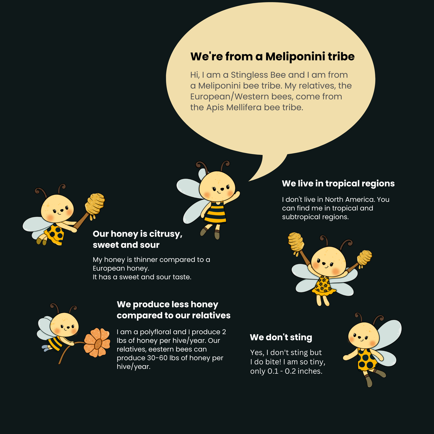 Natharvest Stingless Bee Honey – Pure and Natural Superfood, 8.8 oz (250 gm)