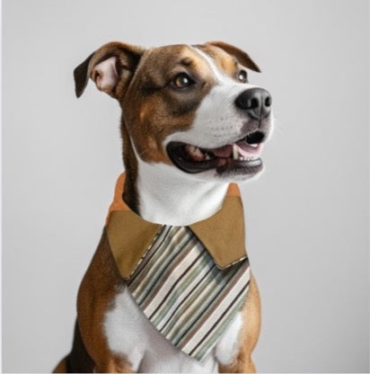 Handmade Pet Bandana