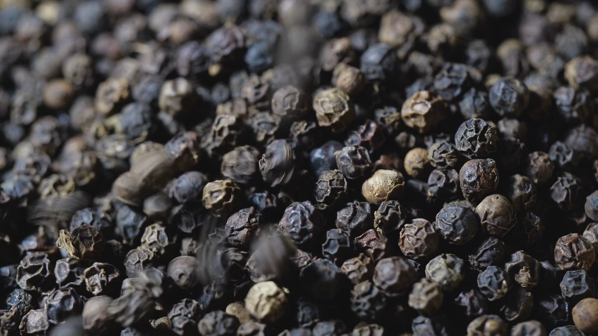 Natharvest's Sarawak black pepper berries
